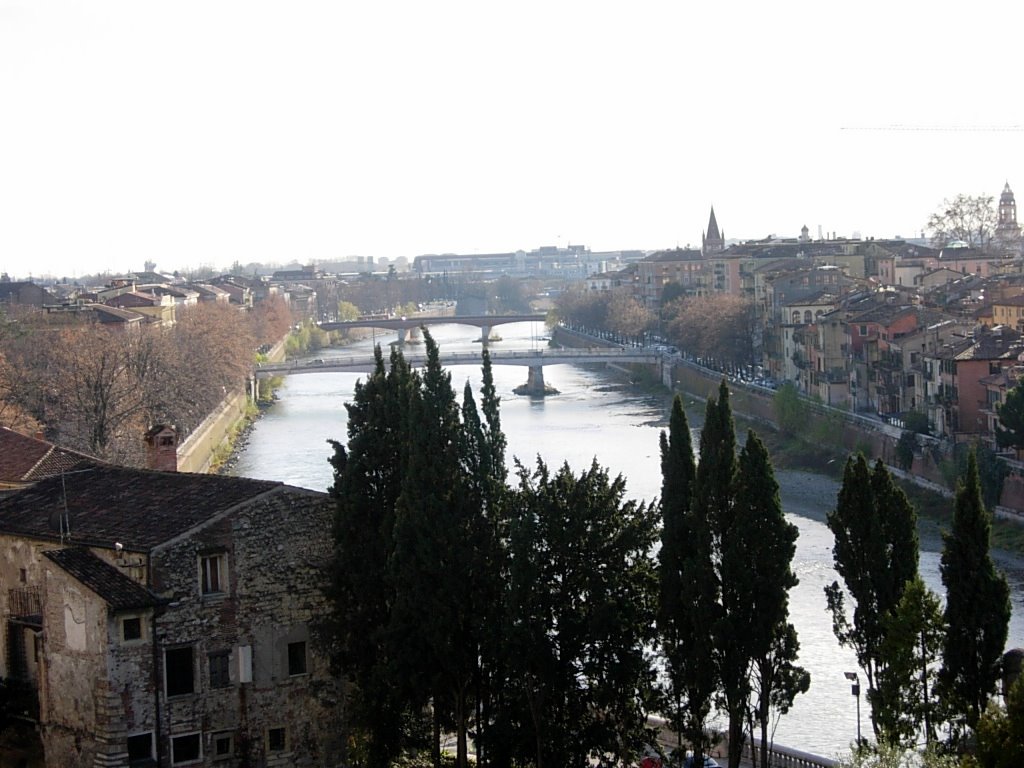 Verona